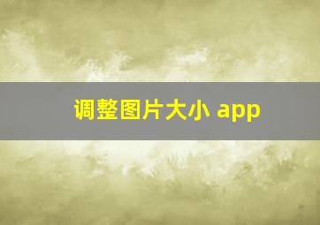 调整图片大小 app